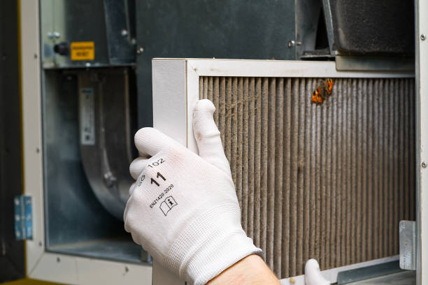 Best Affordable Duct Cleaning Services  in Sutton, NE